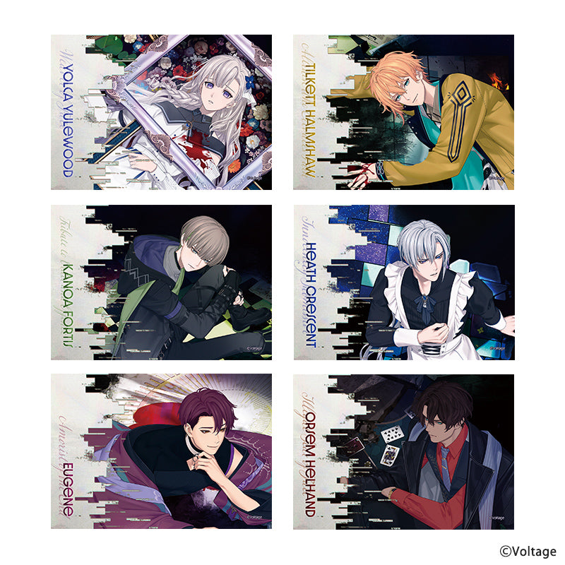 トレーディングブロマイド - AmuLit Official Store