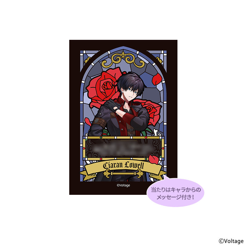 トレーディングブロマイド Vol.2 - AmuLit Official Store