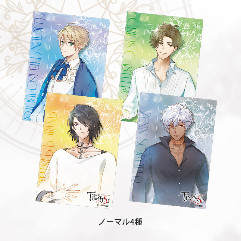 トレーディングイラストカード【AGF2024再販商品】 - AmuLit Official Store